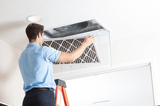 Best Thermostats and Smart Controls in Roselle, IL